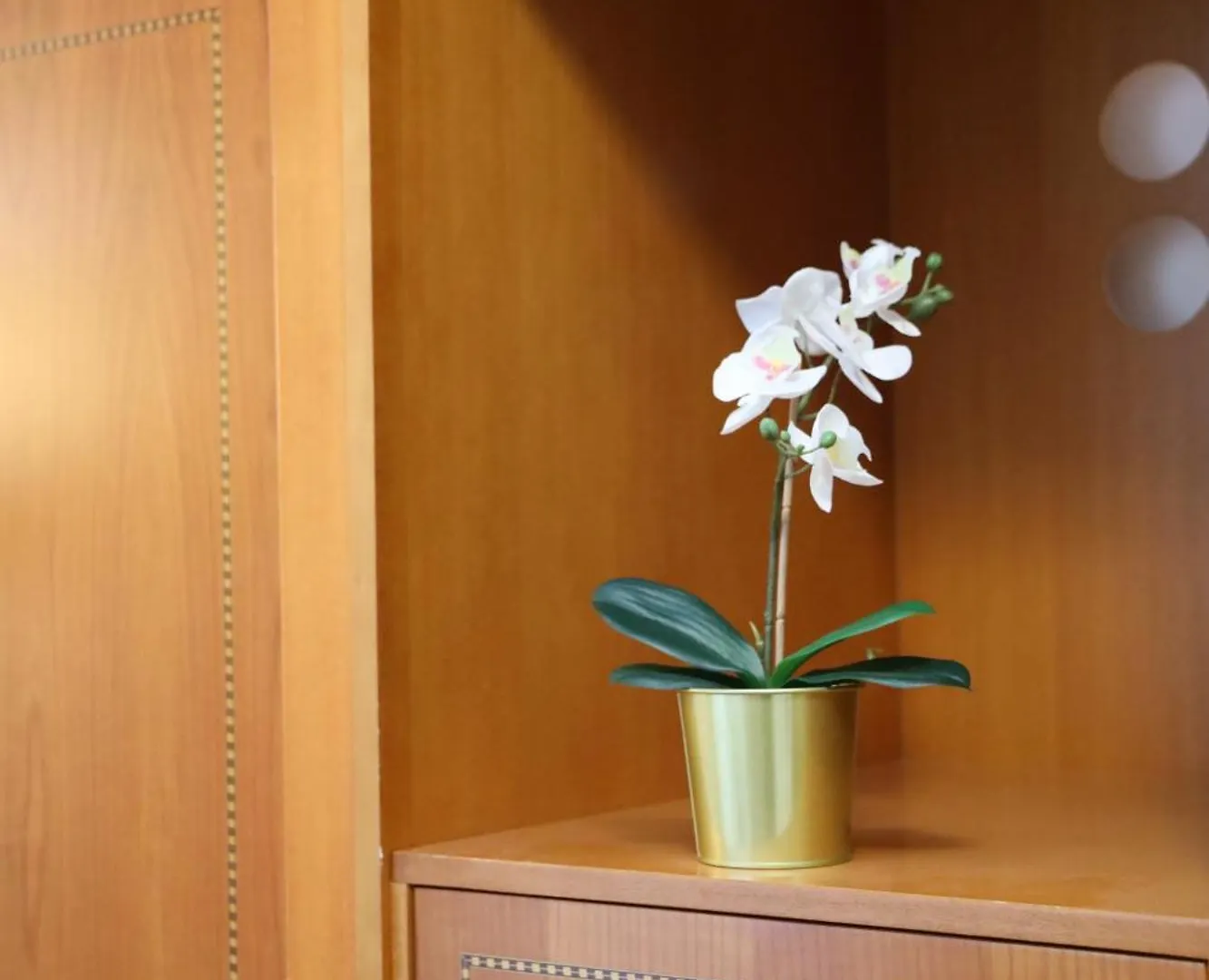 Hotel Majestic By Lvg Hotel Collection Alassio